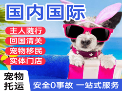 吴圩机场快递国际宠物托运 【国